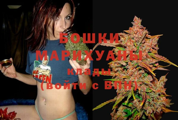 дживик Краснослободск