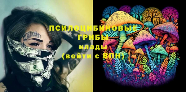 дживик Краснослободск