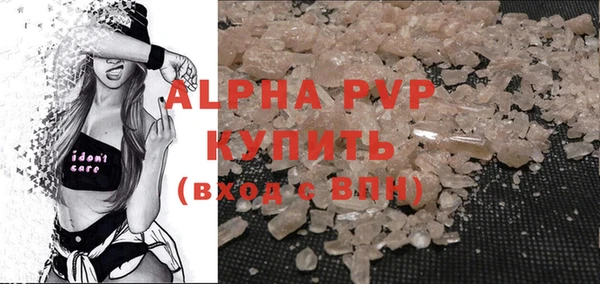 дживик Краснослободск