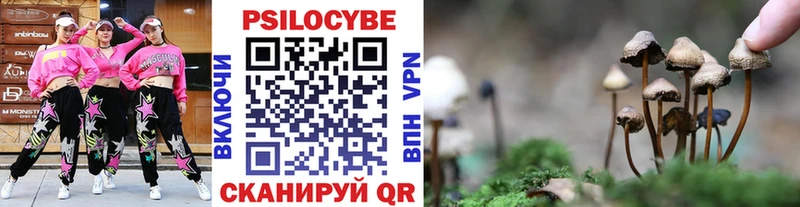 Галлюциногенные грибы прущие грибы  Купить где  Фатеж 